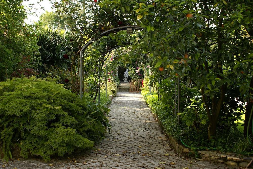Quinta De Sao Lourenco Anadia Kültér fotó