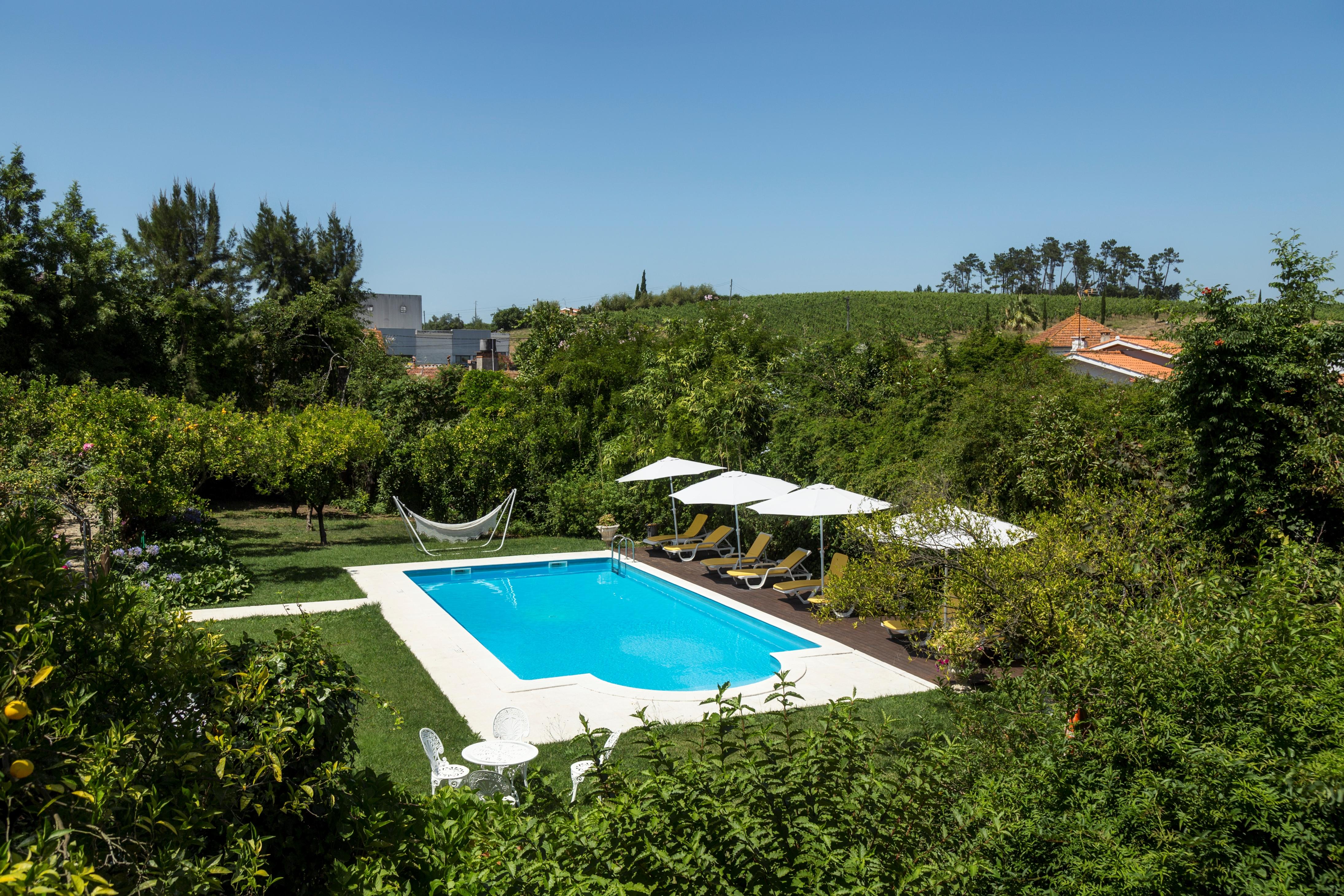 Quinta De Sao Lourenco Anadia Kültér fotó