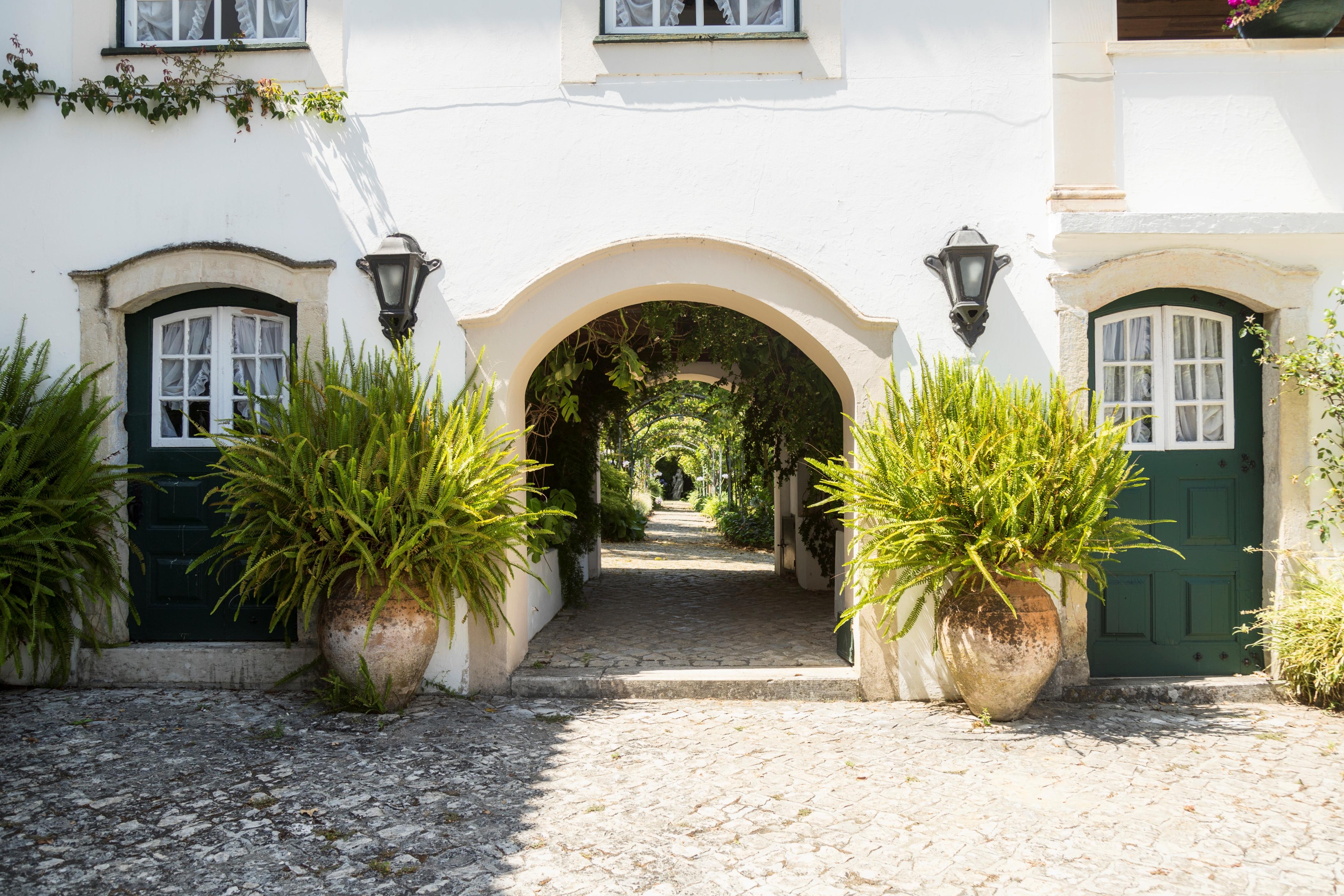 Quinta De Sao Lourenco Anadia Kültér fotó