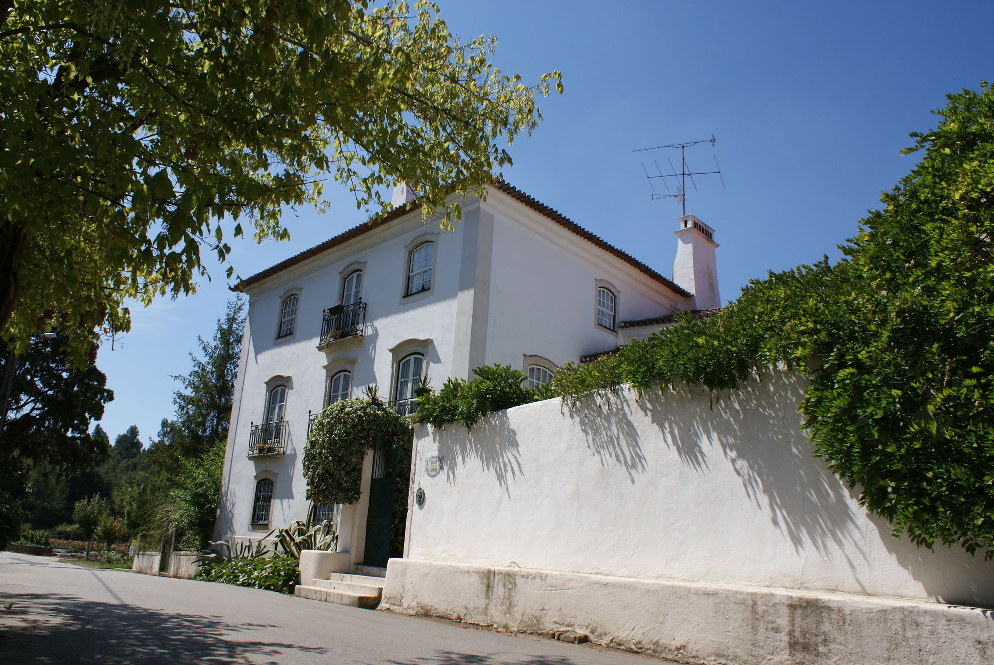 Quinta De Sao Lourenco Anadia Kültér fotó